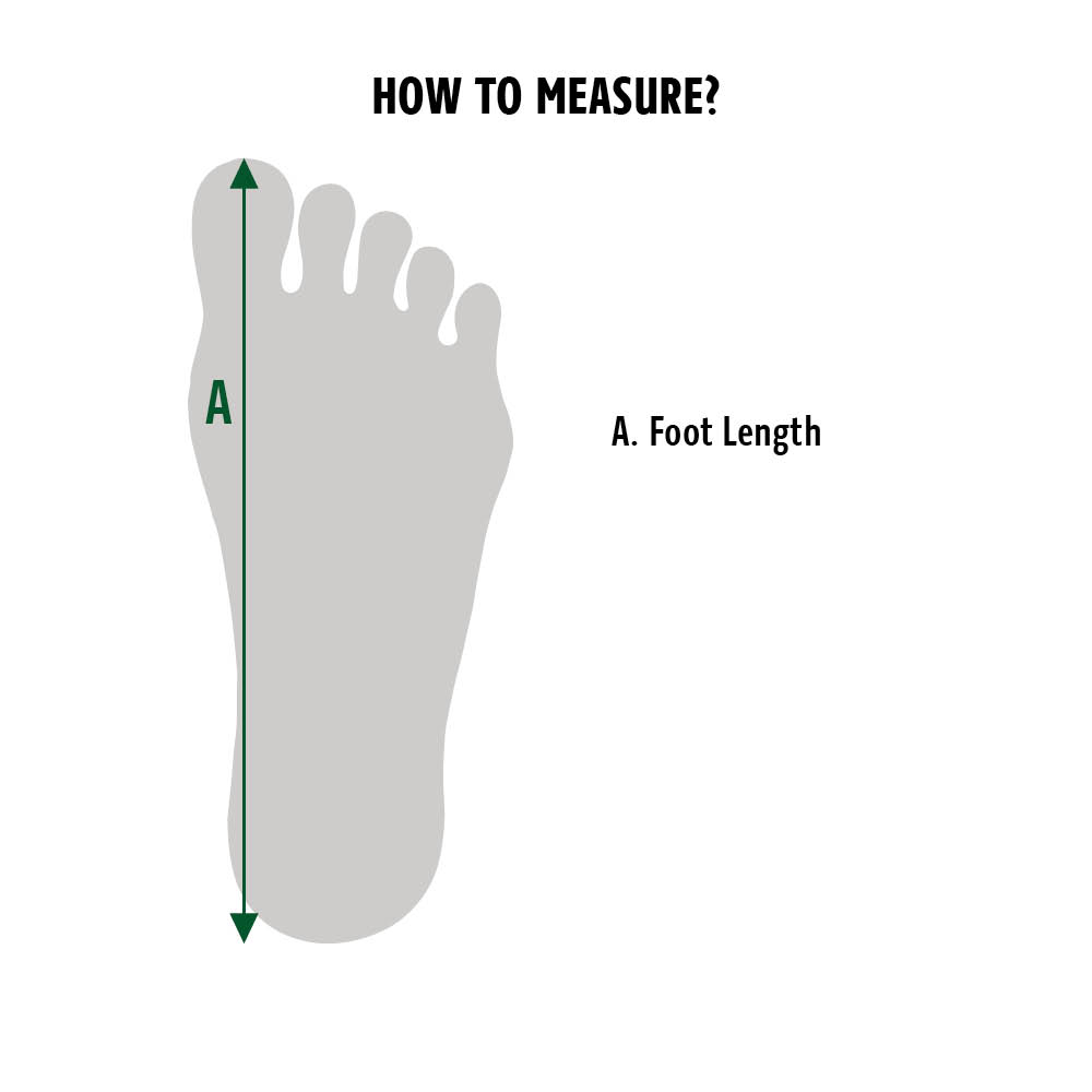 Lacoste Size Chart Footwear