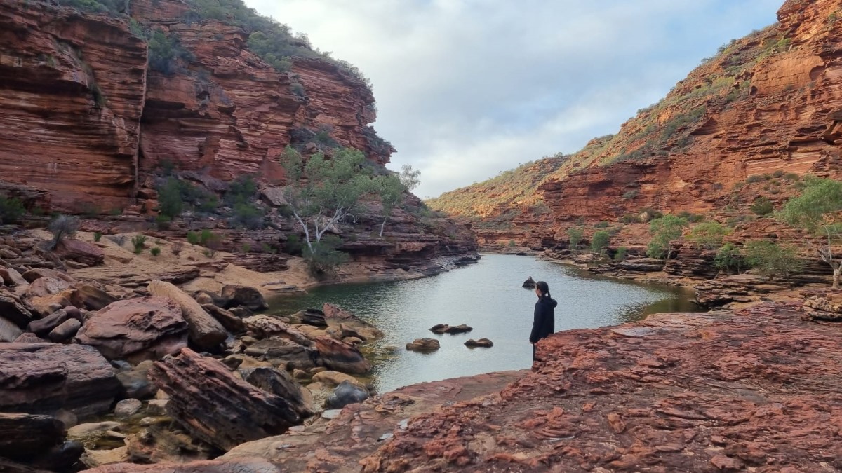 Vertical Dance on the Murchison River 
